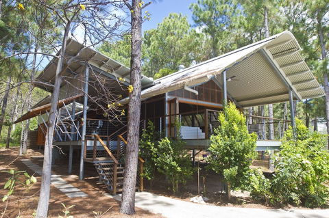 The Pines - Perths Hotel 1