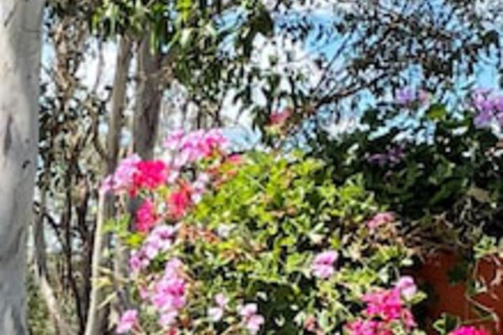 Upper Pinelands QLD Perths Hotel