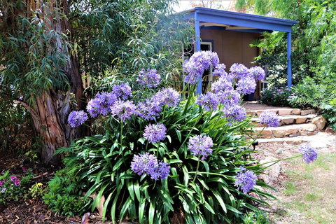 A Stanthorpe Getaway - Perths Hotel 4