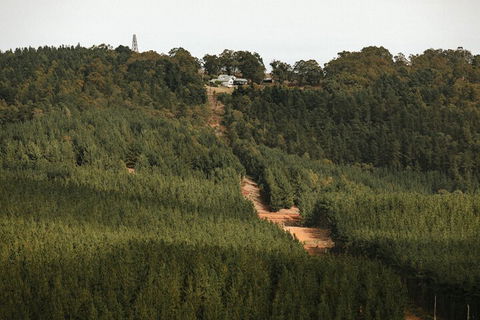 Nannup Hideaway - Perths Hotel 4