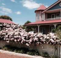 Painted Lady Bed  Breakfast