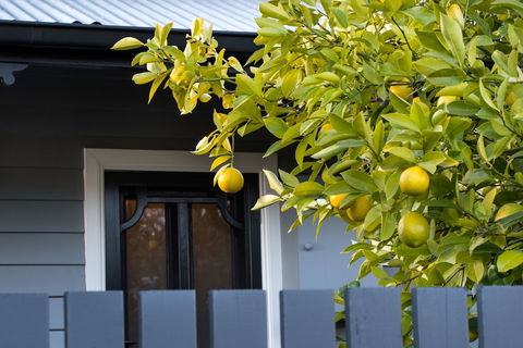 The Lemontree - Perths Hotel 0