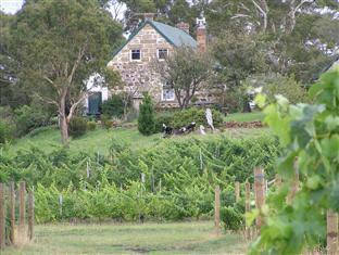 Craigie Knowe Cottage & Vineyard - Perths Hotel 0