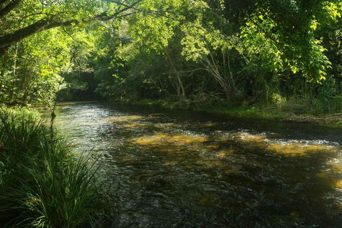 Cairns Homestead Acreage Pet & Family Friendly - Perths Hotel 2