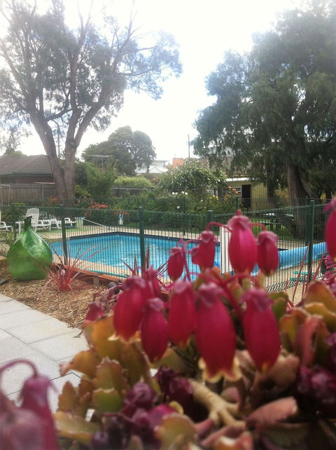 Parkwood Motel And Apartments - Perths Hotel 3