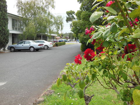Ringwood Motel - Perths Hotel 1