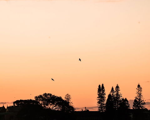 Terrigal Pacific Coastal Retreat - Perths Hotel 5