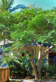 Ewingsdale NSW Perths Hotel