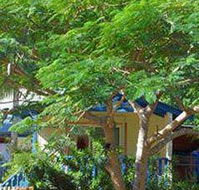 Amber Gardens Guesthouse - Perths Hotel