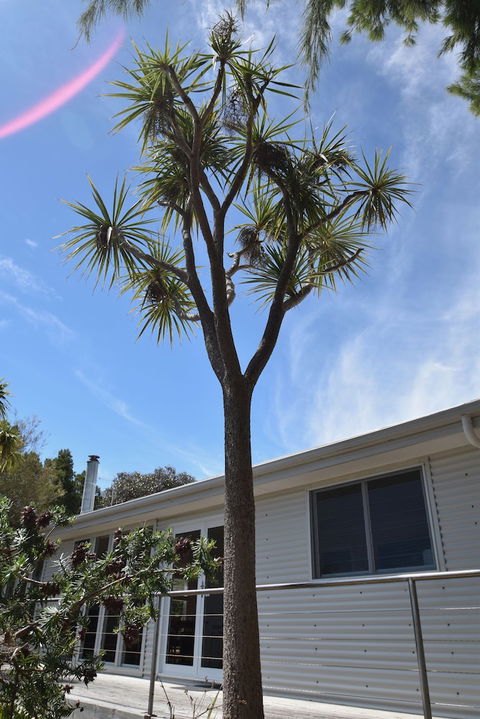 Freycinet Sanctuary At Oyster Bay - Perths Hotel 0