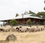 Gilgraves Vineyard Farmstay - Perths Hotel
