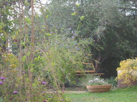 Amalie Cottage Waikerie Unit 1 - Perths Hotel 5