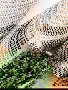 Fat Frog Beach Houses - Perths Hotel 6