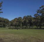 Championship Golf Course on your Back Door - Perths Hotel