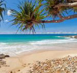 Coolum Classic Beach Shack Pet Friendly - Perths Hotel