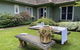 GOWAN ROSS COTTAGE - thumb 1