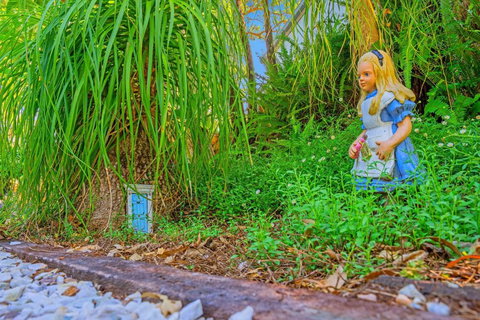 Cloud 9 Cliff Top Eagle Heights - Perths Hotel 5