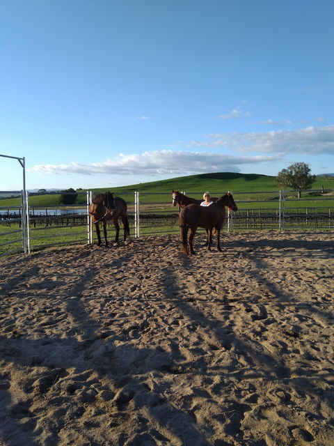 Altitude221 - Perths Hotel 2