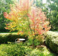Acacia House Retreat Daylesford