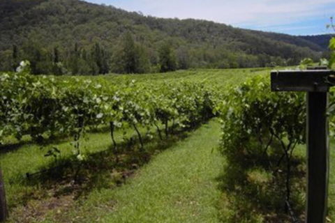 Cedar Creek Cottages - Perths Hotel 2