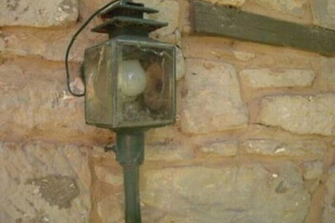 Colonial Cottages Of Ross - Perths Hotel 7