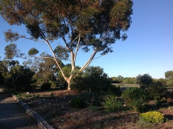 Murray Bridge Motor Inn - Perths Hotel 1