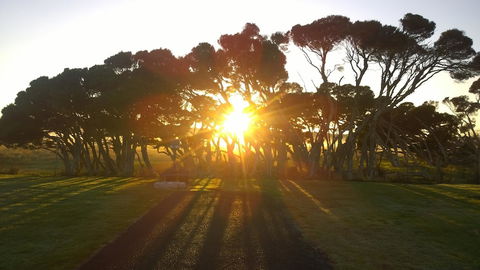 Low Head Tourist Park - Caravan Park - Perths Hotel 1
