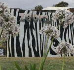 Zebras Guest House - Perths Hotel
