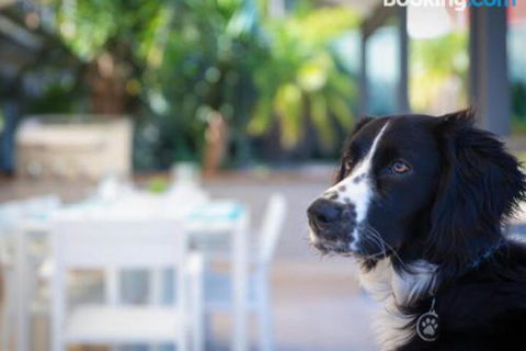 Bay Dream Believer 16 Verona Road Pet Friendly Boat Parking & WIFI - Perths Hotel 4