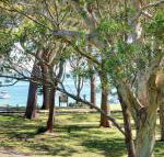 32 Bay Parklands 2 Gowrie Avenue fantastic unit with air conditioning pool tennis court  spa - Perths Hotel