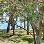 32 Bay Parklands 2 Gowrie Avenue Fantastic Unit With Air Conditioning Pool Tennis Court & Spa - Perths Hotel 0