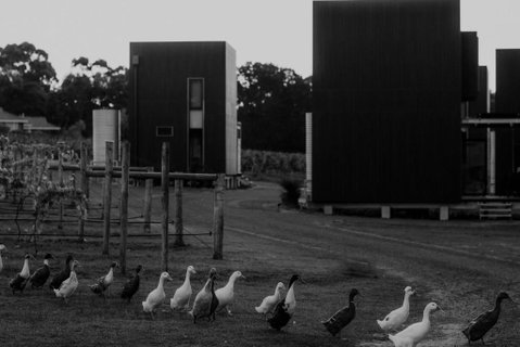 Barn Hives Yallingup - Perths Hotel 1