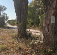 COONARR BEACH  BUNDABERG CAMPING - Perths Hotel