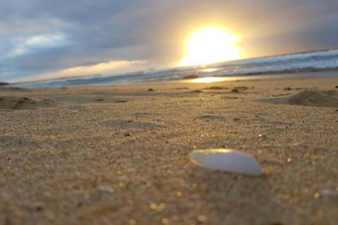 Eagles Loft - Perths Hotel 6