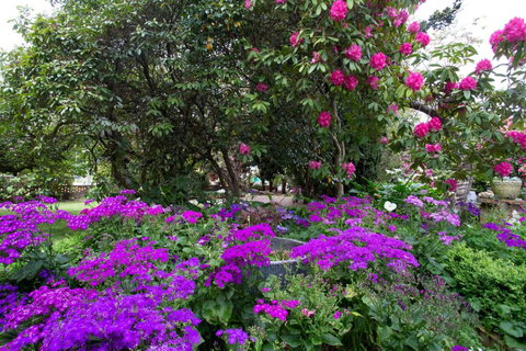 Anabels Of Scottsdale - Perths Hotel 2