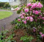 Anabels of Scottsdale - Perths Hotel