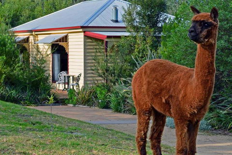 Araluen Park Cottages - Perths Hotel 6