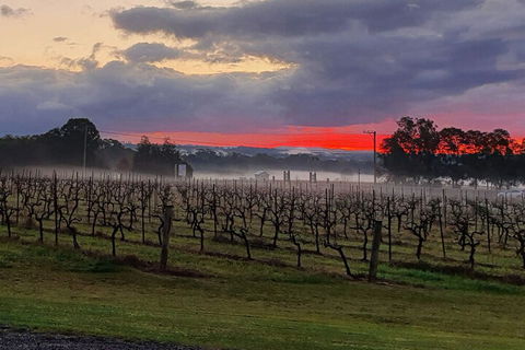 Adina Vineyard - Perths Hotel 4