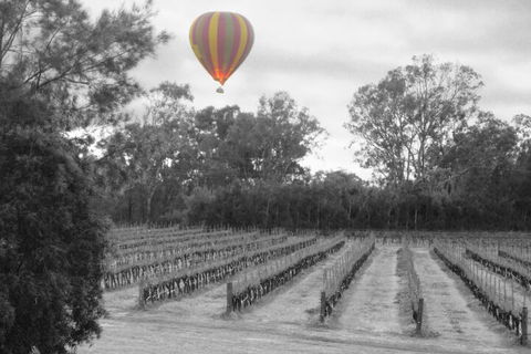 Adina Vineyard - Perths Hotel 5