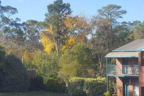 Hepburn Springs Motor Inn - Perths Hotel 5