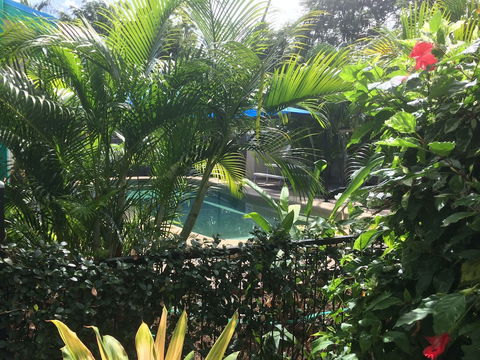 Tropical Palms - Perths Hotel 2