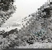 Alpenhorn - Perths Hotel