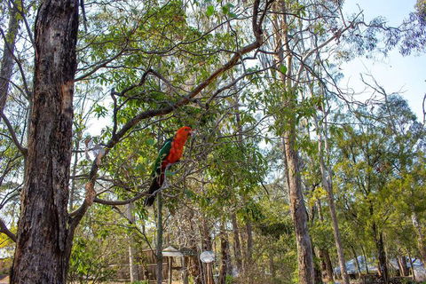 Kalimna Woods Cottages - Perths Hotel 2