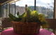 Hamlet Downs Country Accommodation - thumb 4