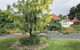 Hamlet Downs Country Accommodation - thumb 0