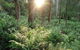 Carinya Park - thumb 3