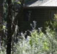 Twin Falls Bush Cottages - Perths Hotel