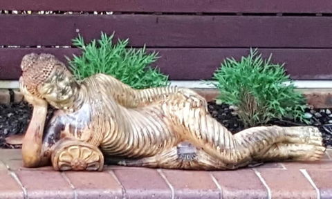 Ballina Palms Boutique Motel - Perths Hotel 1