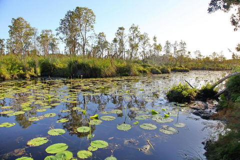 Salamander Bay Bed & Breakfast - Perths Hotel 4