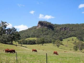 Rosevale House - Perths Hotel 0